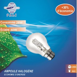 AMPOULE ECO 28W B22 SERIQUE X1