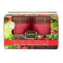 BOUGIE EN VERRE x2 PARFUM FRUIT ROUGE