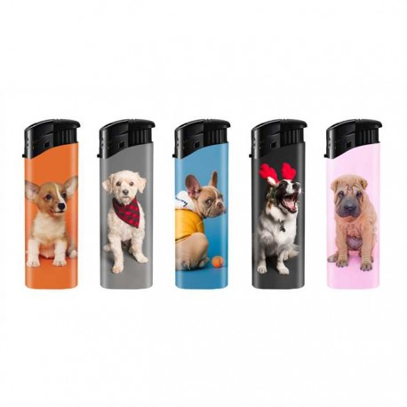 BRIQUET DEC CHIEN
