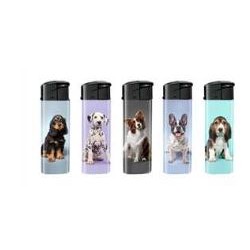 BRIQUET CHIEN