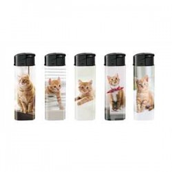 BRIQUET DEC CHAT