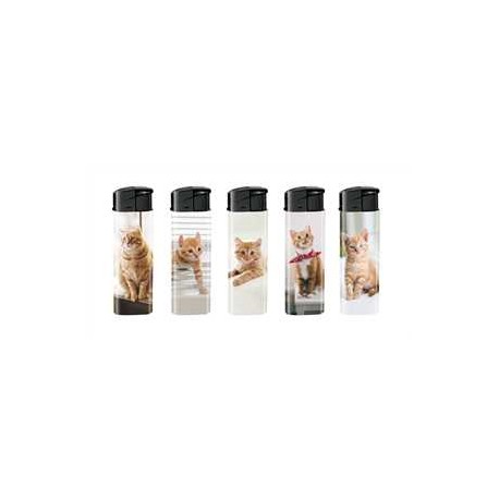 BRIQUET DEC CHAT