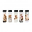 BRIQUET DEC CHAT
