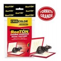 PIEGE COLLANT POUR GROS RAT