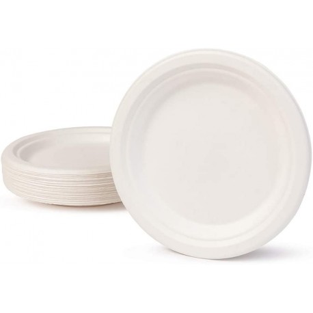 ASSIETTE CARREE 25 PCS 18X18CM BIODEGRADABLES