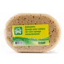 EPONGE POUR VOITURE