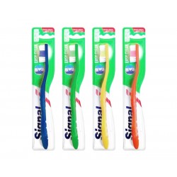 SIGNAL BROSSE A DENT MEDIUM EASY CLEAN