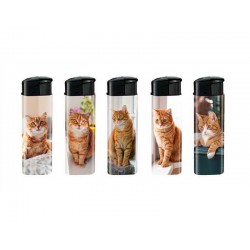 BRIQUET CHAT ROUX X50