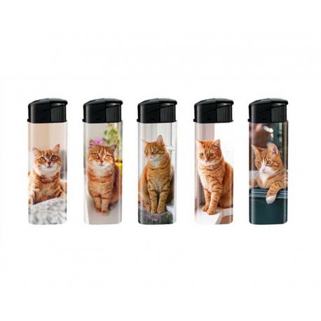 BRIQUET CHAT ROUX X50