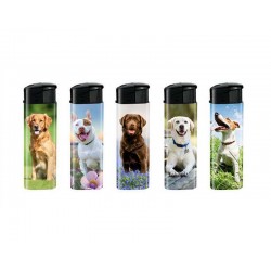 BRIQUET CHIEN X50