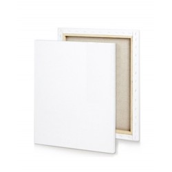 TOILE DE PEINTRE ARTISTE 50X60CM