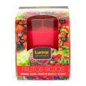 BOUGIE EN VERRE PARFUM FRUIT ROUGE
