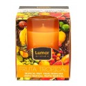 BOUGIE EN VERRE PARFUM FRUIT TROPICAL