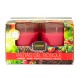 BOUGIE EN VERRE x2 PARFUM FRUIT ROUGE