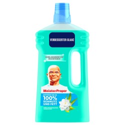 MR PROPRE LIQUIDE MULTI-USAGE 1L FRAICHEUR DU MATIN