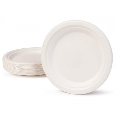 ASSIETTES 22CM 50 PCS