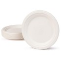 ASSIETTES 22CM 50 PCS