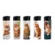 BRIQUET CHAT ROUX X50
