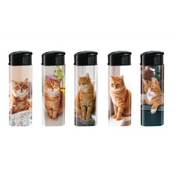 BRIQUET CHAT ROUX X50
