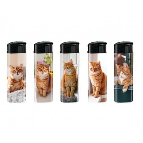 BRIQUET CHAT ROUX X50