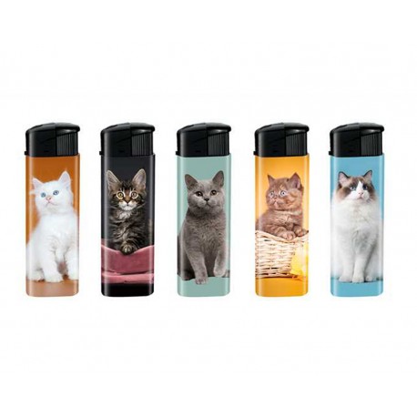 BRIQUET CHAT X50