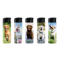 BRIQUET CHIEN X50